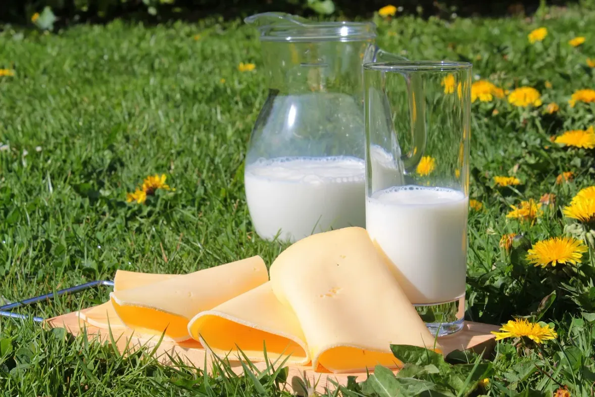Le rôle clé du calcium