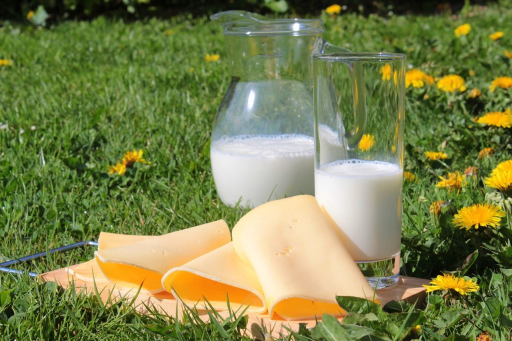 Lait et produits laitiers - leur rôle dans une alimentation équilibrée selon GiuliaCoach